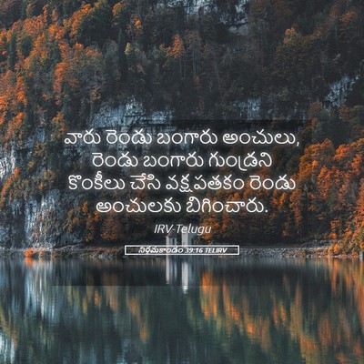 Picture 05 - నిర్గమకాండం 39:16 TELIRV - వారు రెండు బంగారు - Bible Verse Picture