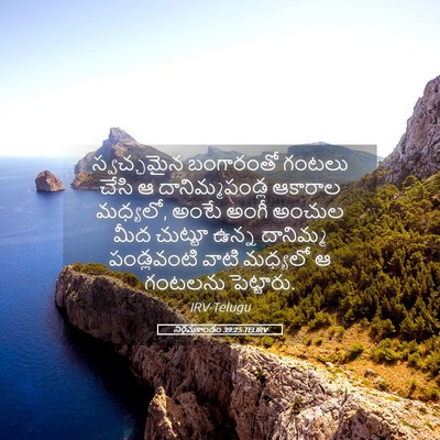 Picture 05 - నిర్గమకాండం 39:25 TELIRV - స్వచ్ఛమైన - Bible Verse Picture
