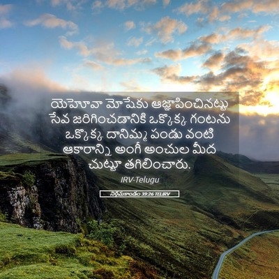 Picture 05 - నిర్గమకాండం 39:26 TELIRV - యెహోవా మోషేకు - Bible Verse Picture