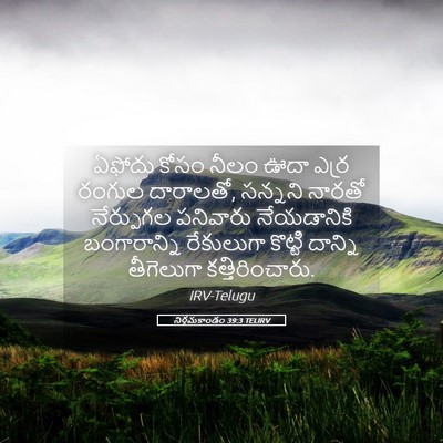 Picture 05 - నిర్గమకాండం 39:3 TELIRV - ఏఫోదు కోసం నీలం - Bible Verse Picture