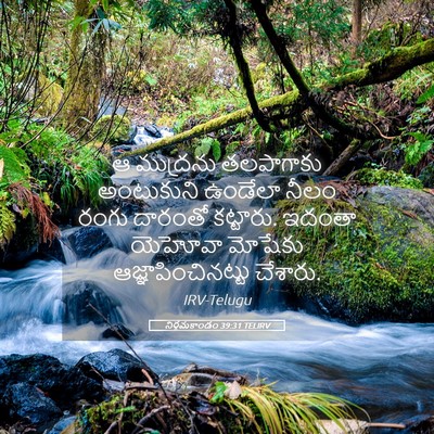 Picture 05 - నిర్గమకాండం 39:31 TELIRV - ఆ ముద్రను - Bible Verse Picture