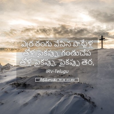 Picture 05 - నిర్గమకాండం 39:34 TELIRV - ఎర్ర రంగు వేసిన - Bible Verse Picture