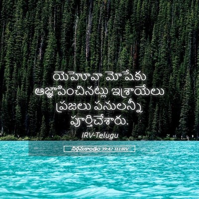 Picture 05 - నిర్గమకాండం 39:42 TELIRV - యెహోవా మోషేకు - Bible Verse Picture