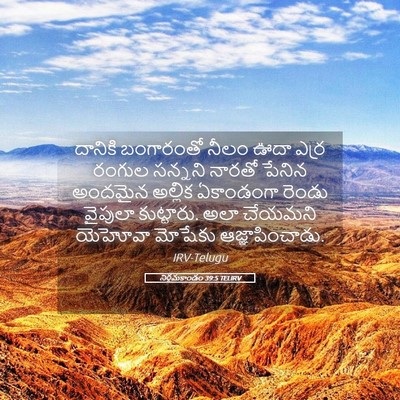Picture 05 - నిర్గమకాండం 39:5 TELIRV - దానికి బంగారంతో - Bible Verse Picture