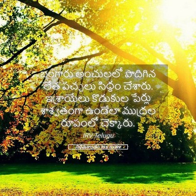 Picture 05 - నిర్గమకాండం 39:6 TELIRV - బంగారు అంచులలో - Bible Verse Picture