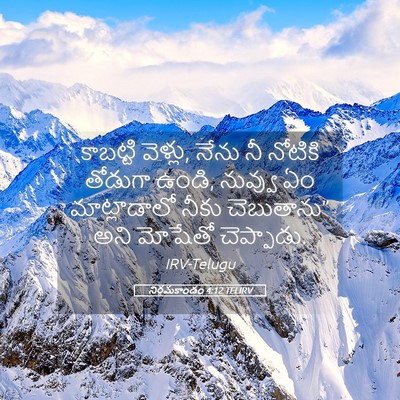 Picture 05 - నిర్గమకాండం 4:12 TELIRV - కాబట్టి వెళ్లు, - Bible Verse Picture