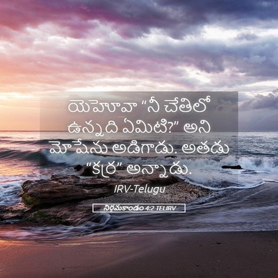 Picture 05 - నిర్గమకాండం 4:2 TELIRV - యెహోవా “నీ చేతిలో - Bible Verse Picture