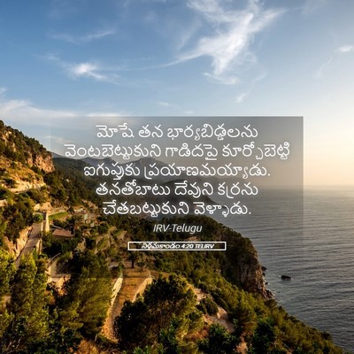 Picture 05 - నిర్గమకాండం 4:20 TELIRV - మోషే తన - Bible Verse Picture