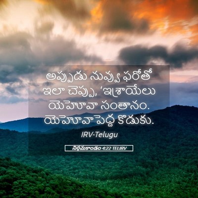 Picture 05 - నిర్గమకాండం 4:22 TELIRV - అప్పుడు నువ్వు - Bible Verse Picture