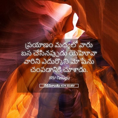 Picture 05 - నిర్గమకాండం 4:24 TELIRV - ప్రయాణం మధ్యలో - Bible Verse Picture