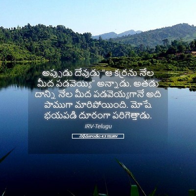 Picture 05 - నిర్గమకాండం 4:3 TELIRV - అప్పుడు దేవుడు “ఆ - Bible Verse Picture
