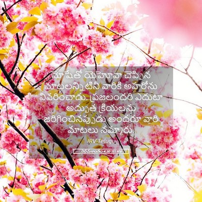 Picture 05 - నిర్గమకాండం 4:30 TELIRV - మోషేతో యెహోవా - Bible Verse Picture