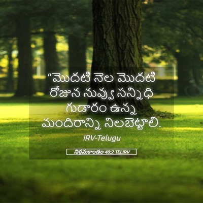 Picture 05 - నిర్గమకాండం 40:2 TELIRV - “మొదటి నెల మొదటి - Bible Verse Picture