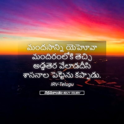 Picture 05 - నిర్గమకాండం 40:21 TELIRV - మందసాన్ని యెహోవా - Bible Verse Picture