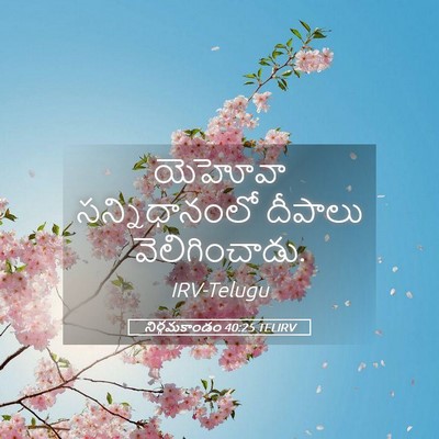 Picture 05 - నిర్గమకాండం 40:25 TELIRV - యెహోవా - Bible Verse Picture