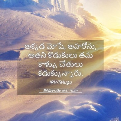 Picture 05 - నిర్గమకాండం 40:31 TELIRV - అక్కడ మోషే, అహరోను, - Bible Verse Picture