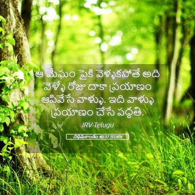 Picture 05 - నిర్గమకాండం 40:37 TELIRV - ఆ మేఘం పైకి - Bible Verse Picture