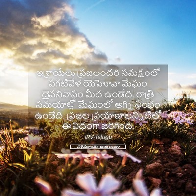 Picture 05 - నిర్గమకాండం 40:38 TELIRV - ఇశ్రాయేలు - Bible Verse Picture