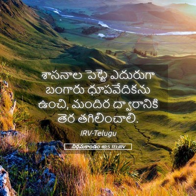 Picture 05 - నిర్గమకాండం 40:5 TELIRV - శాసనాల పెట్టె - Bible Verse Picture