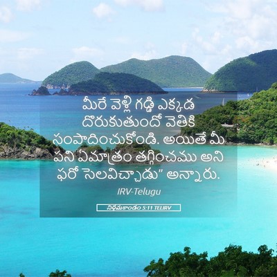 Picture 05 - నిర్గమకాండం 5:11 TELIRV - మీరే వెళ్లి గడ్డి - Bible Verse Picture