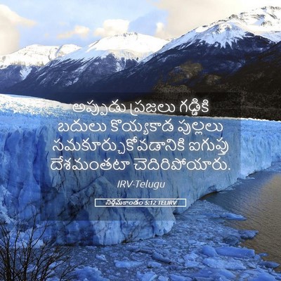 Picture 05 - నిర్గమకాండం 5:12 TELIRV - అప్పుడు ప్రజలు - Bible Verse Picture