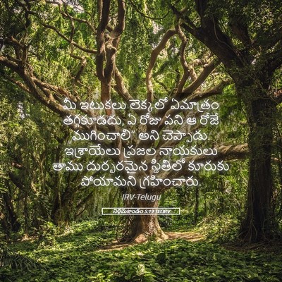 Picture 05 - నిర్గమకాండం 5:19 TELIRV - మీ ఇటుకలు లెక్కలో - Bible Verse Picture