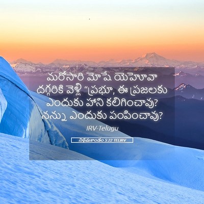 Picture 05 - నిర్గమకాండం 5:22 TELIRV - మరోసారి మోషే - Bible Verse Picture