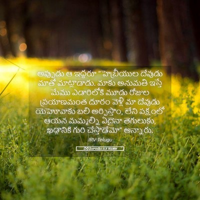 Picture 05 - నిర్గమకాండం 5:3 TELIRV - అప్పుడు ఆ ఇద్దరూ - Bible Verse Picture