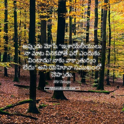 Picture 05 - నిర్గమకాండం 6:12 TELIRV - అప్పుడు మోషే - Bible Verse Picture