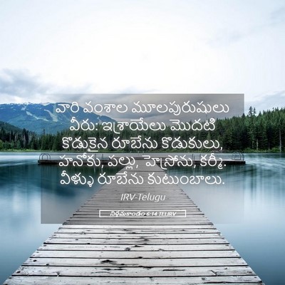 Picture 05 - నిర్గమకాండం 6:14 TELIRV - వారి వంశాల - Bible Verse Picture