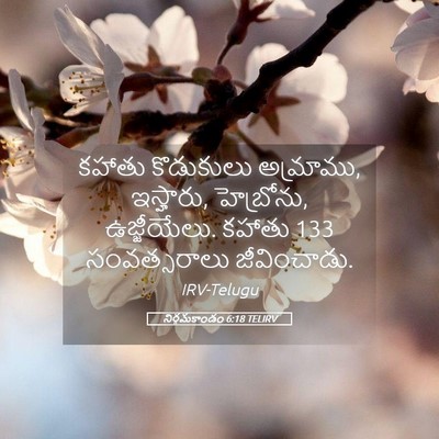 Picture 05 - నిర్గమకాండం 6:18 TELIRV - కహాతు కొడుకులు - Bible Verse Picture