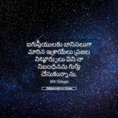 Picture 05 - నిర్గమకాండం 6:5 TELIRV - ఐగుప్తీయులకు - Bible Verse Picture