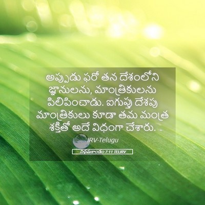 Picture 05 - నిర్గమకాండం 7:11 TELIRV - అప్పుడు ఫరో తన - Bible Verse Picture