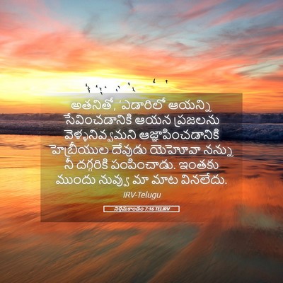 Picture 05 - నిర్గమకాండం 7:16 TELIRV - అతనితో, ‘ఎడారిలో - Bible Verse Picture
