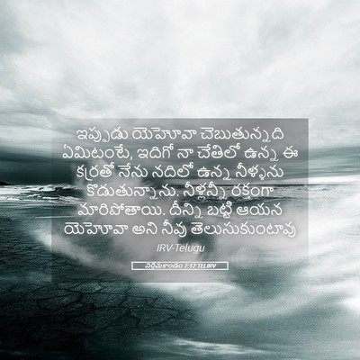 Picture 05 - నిర్గమకాండం 7:17 TELIRV - ఇప్పుడు యెహోవా - Bible Verse Picture