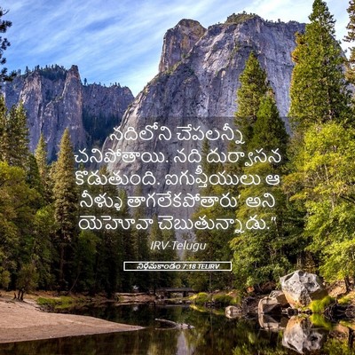 Picture 05 - నిర్గమకాండం 7:18 TELIRV - నదిలోని చేపలన్నీ - Bible Verse Picture