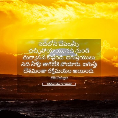 Picture 05 - నిర్గమకాండం 7:21 TELIRV - నదిలోని చేపలన్నీ - Bible Verse Picture