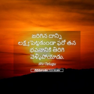 Picture 05 - నిర్గమకాండం 7:23 TELIRV - జరిగిన దాన్ని - Bible Verse Picture