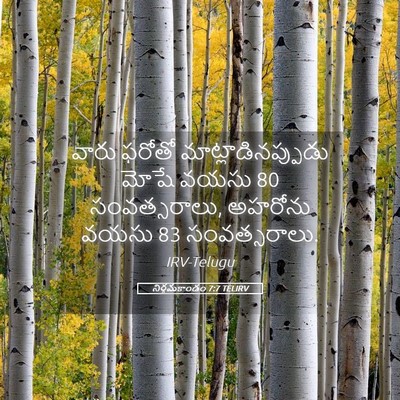 Picture 05 - నిర్గమకాండం 7:7 TELIRV - వారు ఫరోతో - Bible Verse Picture