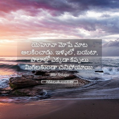 Picture 05 - నిర్గమకాండం 8:13 TELIRV - యెహోవా మోషే మాట - Bible Verse Picture