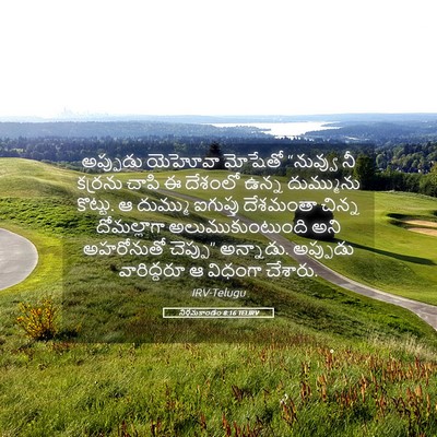 Picture 05 - నిర్గమకాండం 8:16 TELIRV - అప్పుడు యెహోవా - Bible Verse Picture