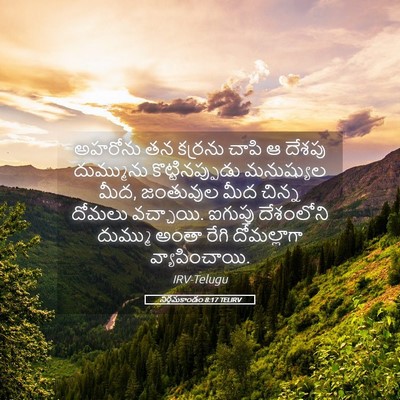 Picture 05 - నిర్గమకాండం 8:17 TELIRV - అహరోను తన కర్రను - Bible Verse Picture