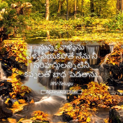 Picture 05 - నిర్గమకాండం 8:2 TELIRV - నువ్వు వాళ్ళను - Bible Verse Picture