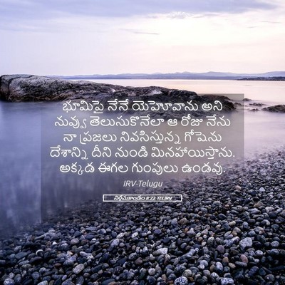 Picture 05 - నిర్గమకాండం 8:22 TELIRV - భూమిపై నేనే - Bible Verse Picture
