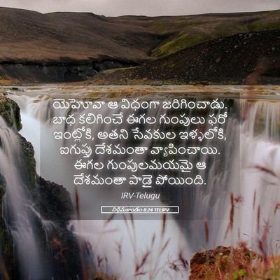 Picture 05 - నిర్గమకాండం 8:24 TELIRV - యెహోవా ఆ విధంగా - Bible Verse Picture