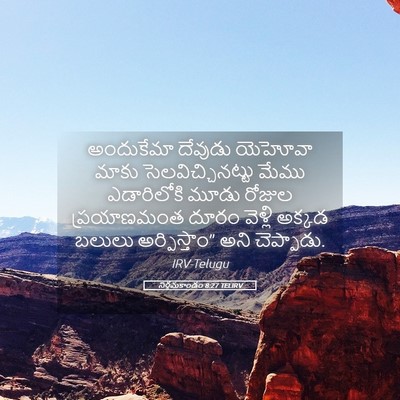 Picture 05 - నిర్గమకాండం 8:27 TELIRV - అందుకేమా దేవుడు - Bible Verse Picture