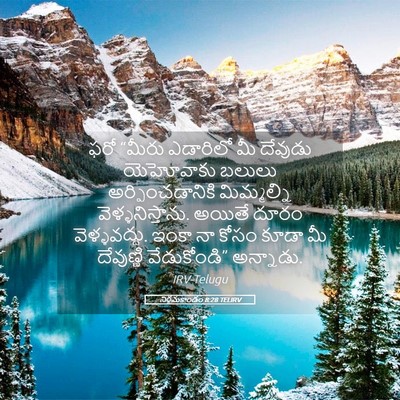 Picture 05 - నిర్గమకాండం 8:28 TELIRV - ఫరో “మీరు ఎడారిలో - Bible Verse Picture