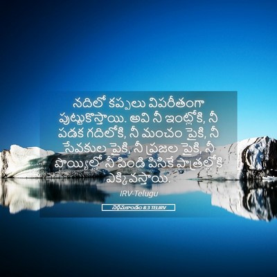 Picture 05 - నిర్గమకాండం 8:3 TELIRV - నదిలో కప్పలు - Bible Verse Picture