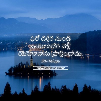 Picture 05 - నిర్గమకాండం 8:30 TELIRV - ఫరో దగ్గర నుండి - Bible Verse Picture
