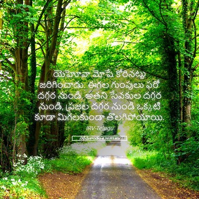 Picture 05 - నిర్గమకాండం 8:31 TELIRV - యెహోవా మోషే - Bible Verse Picture